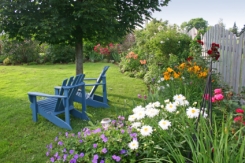 chairs